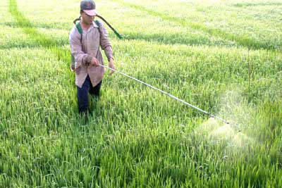 Thủ tướng phê duyệt một số dự án nước ngoài tài trợ